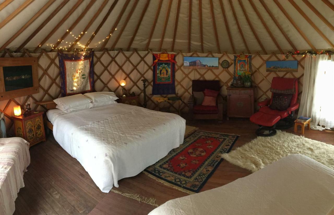 Ngahere Hou Glamping Luxury tent Kenepuru Head