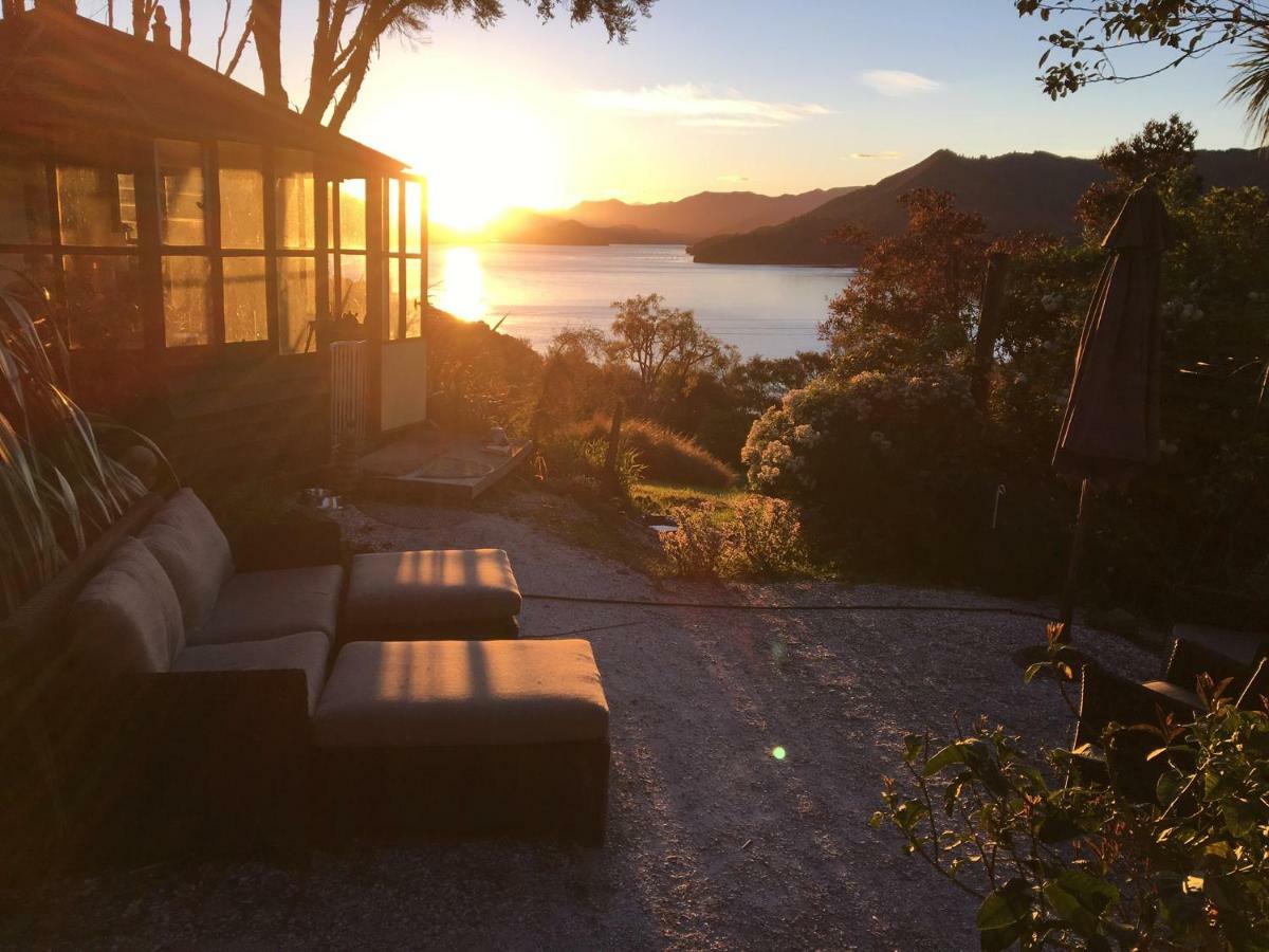 Luxury tent Ngahere Hou Glamping Kenepuru Head