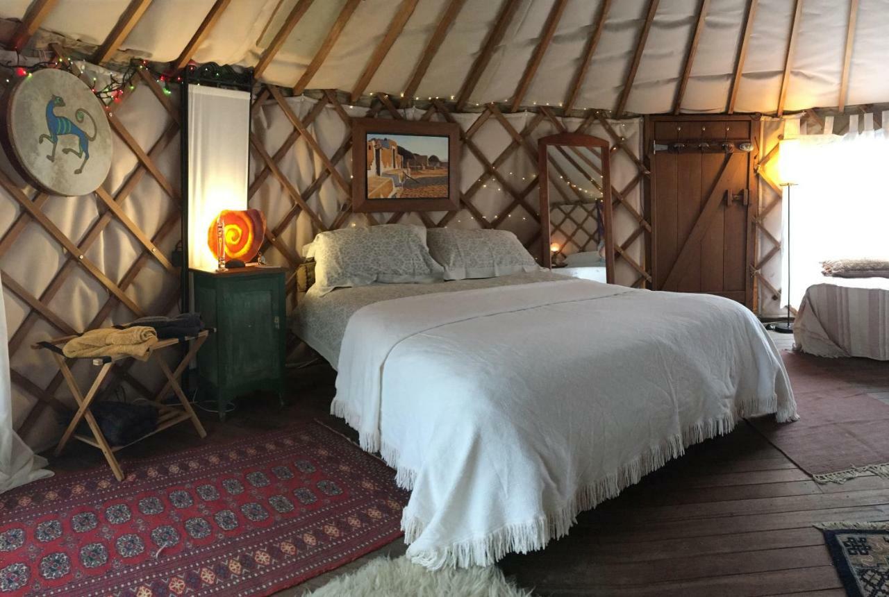 Ngahere Hou Glamping